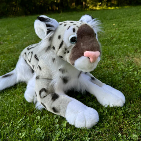 Drift the Snow Leopard August 8, 2026