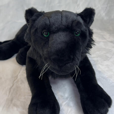 Onyx the Black Leopard September 18, 2026
