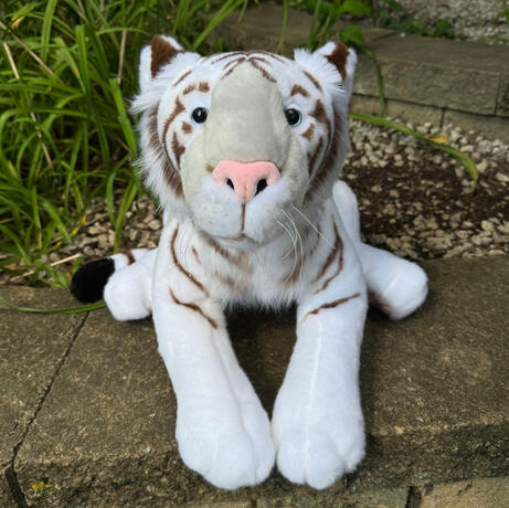 Khan the White Bengal Tiger August 22, 2026