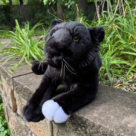 Black Leopard September 22, 2026