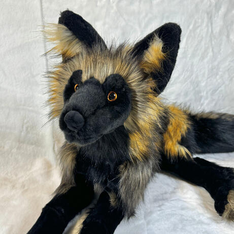 Phantom the Cross Fox September 11, 2026