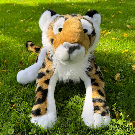 Jaguar September 2, 2026